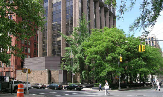 NYU Plant